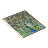 Peacock Notizblock (angewinkelt)