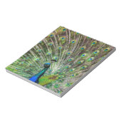 Peacock Notizblock (Rotiert)