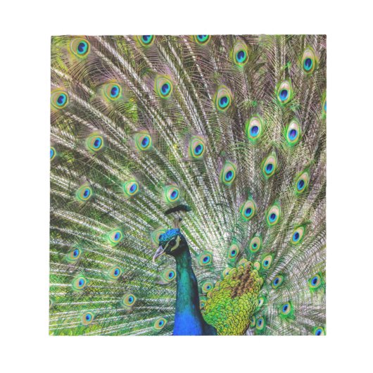 Peacock Notizblock (Vorderseite)