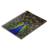 Peacock Notizblock (Linke Seite)