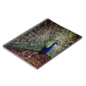 Peacock Notizblock (Linke Seite)