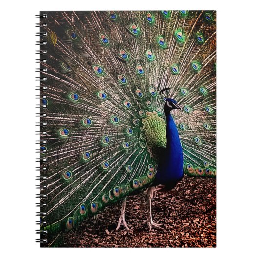 Peacock Notizblock (Vorderseite)