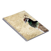 Peacock Notizblock (Rechte Seite)