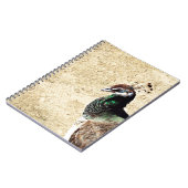 Peacock Notizblock (Linke Seite)