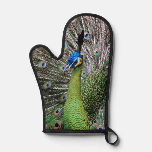 Peacock Ofenhandschuh (Vorderseite)