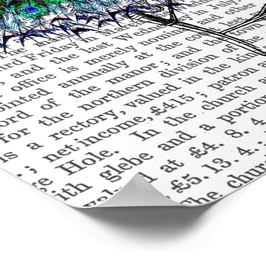 Peacock on Chair Poster (Ecke)