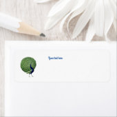 Peacock Open Fan (Insitu)