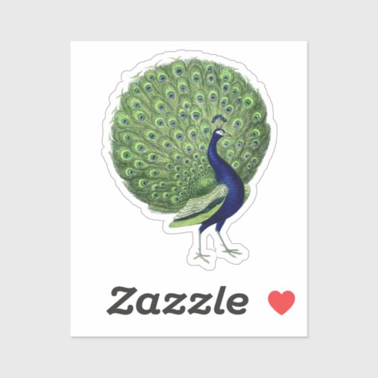 Peacock Open Fan Aufkleber (Blatt)