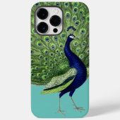 Peacock Open Fan Case-Mate iPhone Hülle (Rückseite)