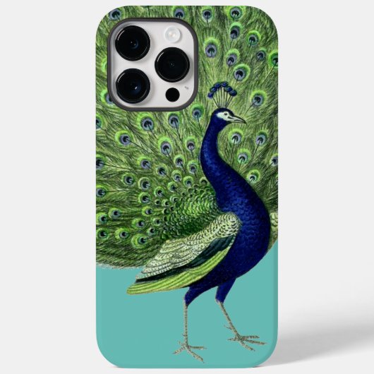 Peacock Open Fan Case-Mate iPhone Hülle (Rückseite)