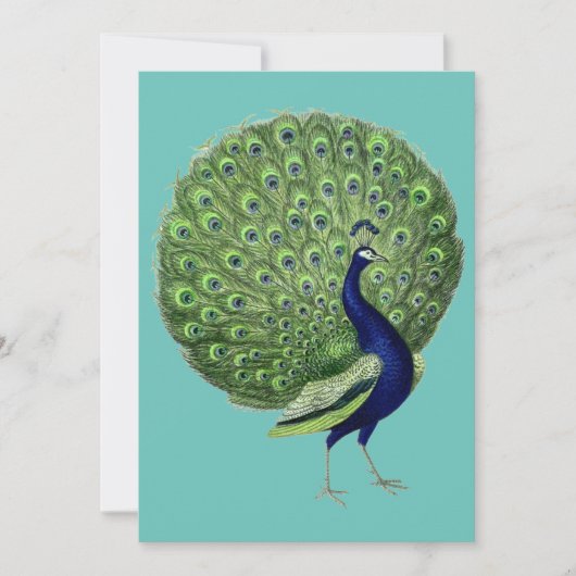 Peacock Open Fan Einladung (Vorderseite)