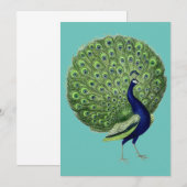 Peacock Open Fan Einladung (Vorne/Hinten)