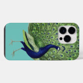 Peacock Open Fan iPhone Hülle (Rückseite (Horizontal))