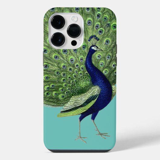 Peacock Open Fan iPhone Hülle (Rückseite)