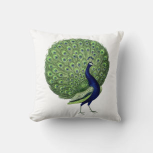 Peacock Open Fan Kissen
