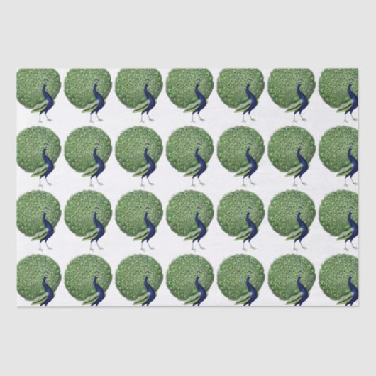 Peacock Open Fan Seidenpapier (Vorderseite)