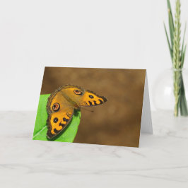 Peacock Pansy Butterfly Karte