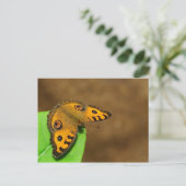 Peacock Pansy Butterfly Postkarte (Stehend Vorderseite)
