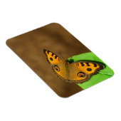 Peacock Pansy-Schmetterling Magnet (Rechte Seite)