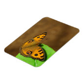Peacock Pansy-Schmetterling Magnet (Linke Seite)