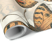 Peacock pansy-schmetterling-Muster Geschenkpapier (Rolleneckpunkt)