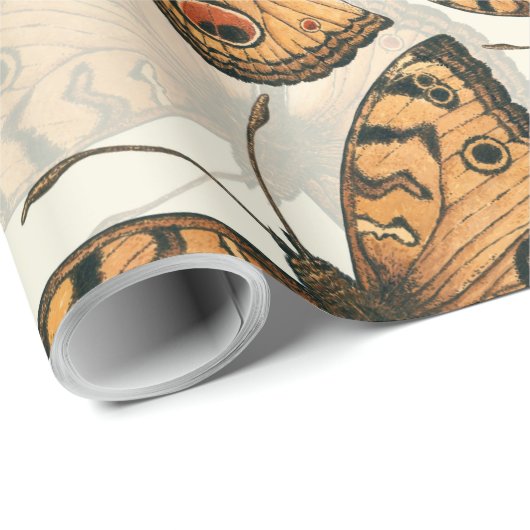 Peacock pansy-schmetterling-Muster Geschenkpapier (Rolleneckpunkt)