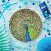 Peacock Pappteller (Party)