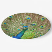 Peacock Pappteller (Schrägansicht)