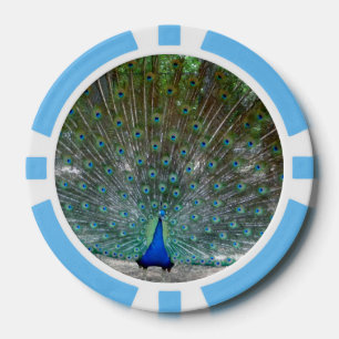 Peacock Party Poker Chips