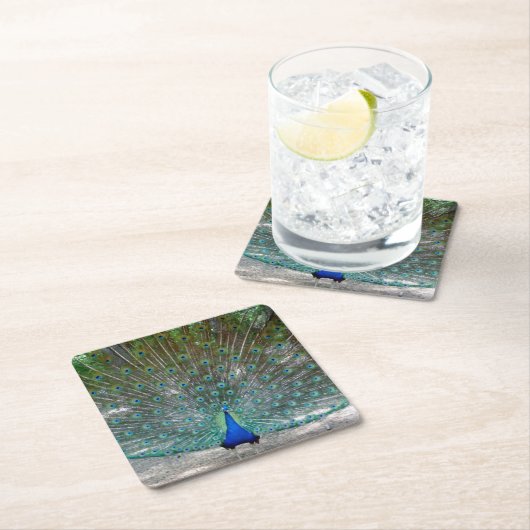 Peacock Party Untersetzer (Vor Ort)