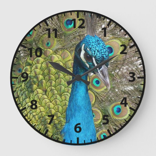 Peacock Peacocks Birds Clock Große Wanduhr (Vorderseite)