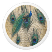 Peacock & Pecock Feathers W/Music Paper Background Keramikknauf (Vorderseite)