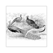 Peacock Pheasant Mixed Scrapbooking Gummistempel (Prägung)