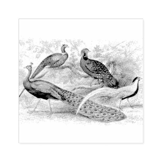 Peacock Pheasant Mixed Scrapbooking Gummistempel (Prägung)