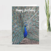 PEACOCK PHOTO HAPPY BIRTHDAY GREETING CARD KARTE (Vorderseite)