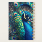 Peacock Planer (Rückseite)