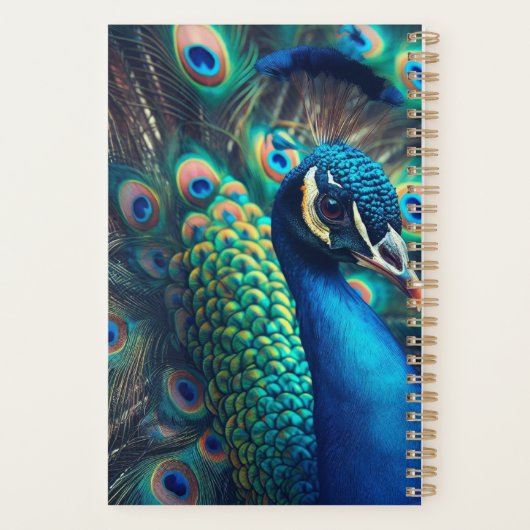 Peacock Planer (Rückseite)