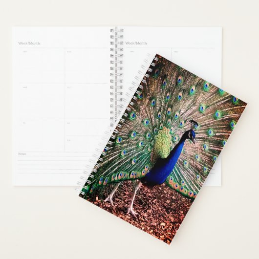 Peacock Planer (Anzeige)
