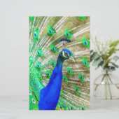 Peacock Plumage Briefpapier (Stehend Vorderseite)