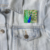 Peacock Plumage Button (Beispiel)