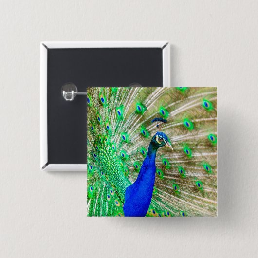 Peacock Plumage Button (Vorne & Hinten)