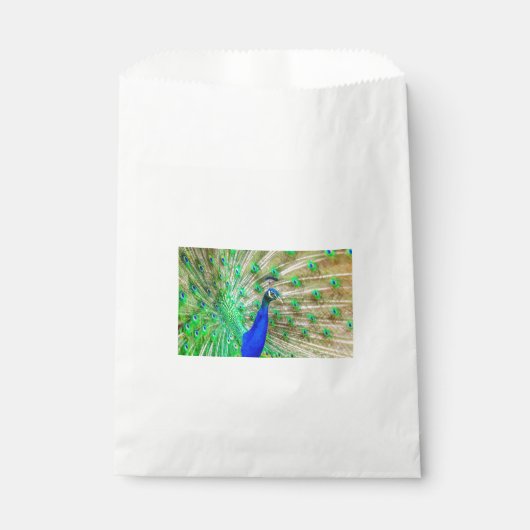 Peacock Plumage Geschenktütchen (Vorderseite)