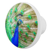 Peacock Plumage Keramikknauf (Rechts)