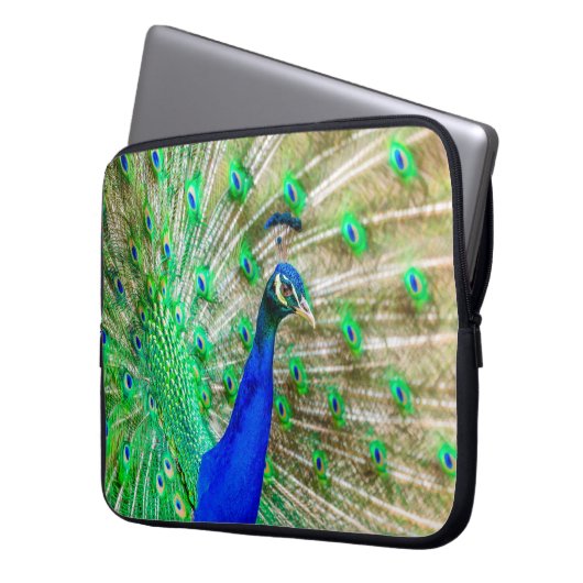 Peacock Plumage Laptopschutzhülle (Vorderseite Links)