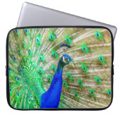 Peacock Plumage Laptopschutzhülle (Vorderseite)