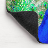 Peacock Plumage Mousepad (Ecke)