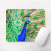 Peacock Plumage Mousepad (Mit Mouse)