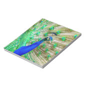Peacock Plumage Notizblock (Rotiert)