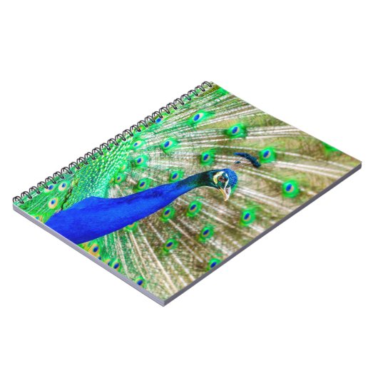 Peacock Plumage Notizblock (Linke Seite)