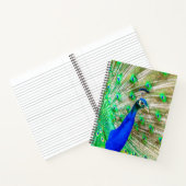 Peacock Plumage Notizblock (Innenseite)